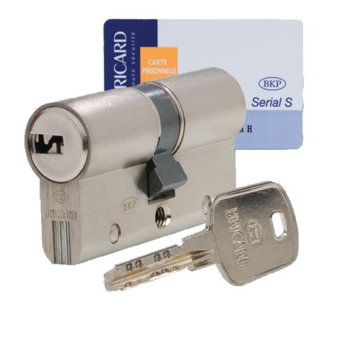 Cylindre à double entrée SERIAL S 30X30 BRICARD 4530070