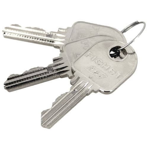Cylindre à double entrée A2P* pour serrure G351 40 X 45 mm FICHET 72412950